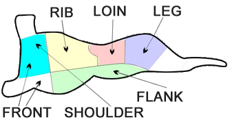 lamb cut diagram